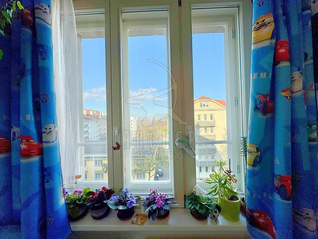 2+kk Apartment in Praha, Žižkov – pohled 4