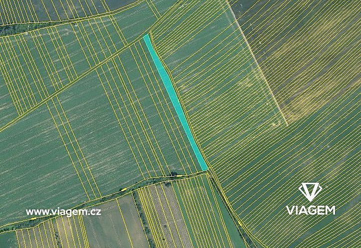Prodej pole 2 732 m² – fotografie 3