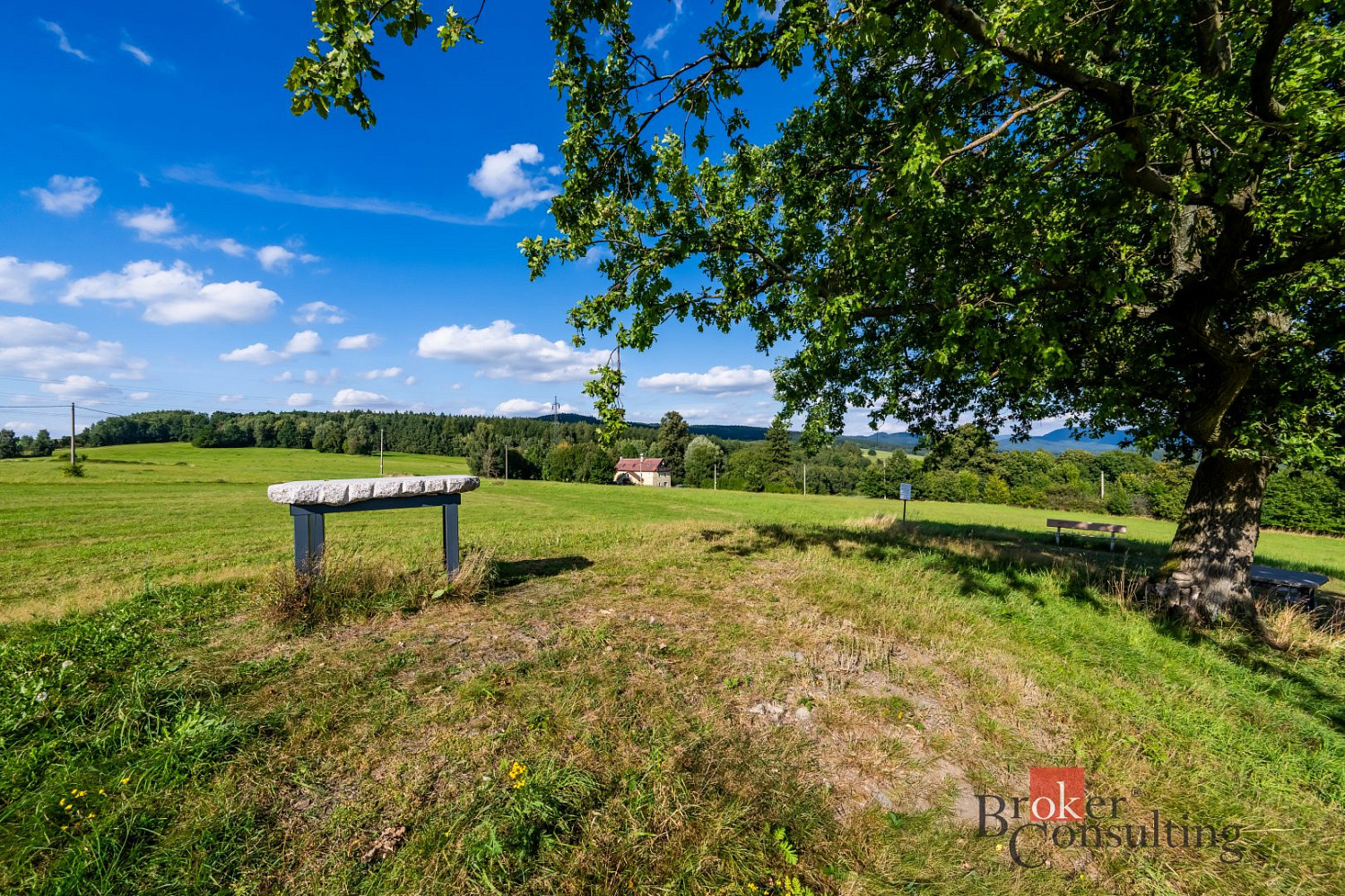 Prodej pole 11 539 m² – pohled 6