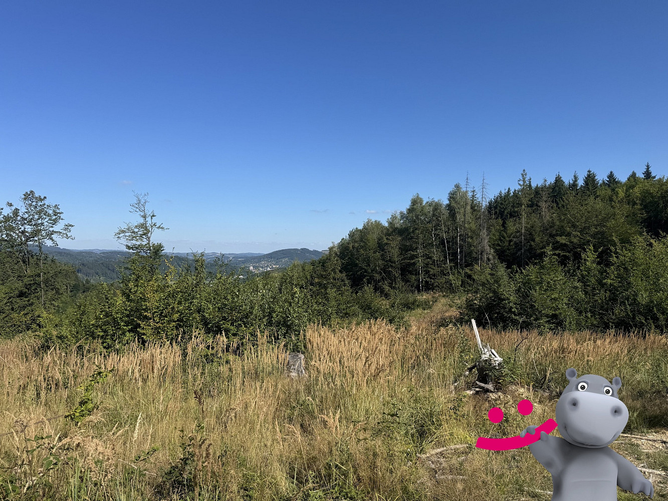 Prodej lesa 5 887 m²