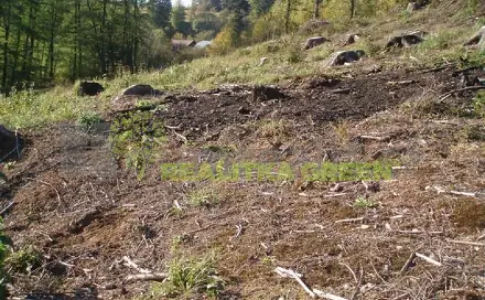 Prodej lesa 14 279 m², Pozděchov, okres Vsetín