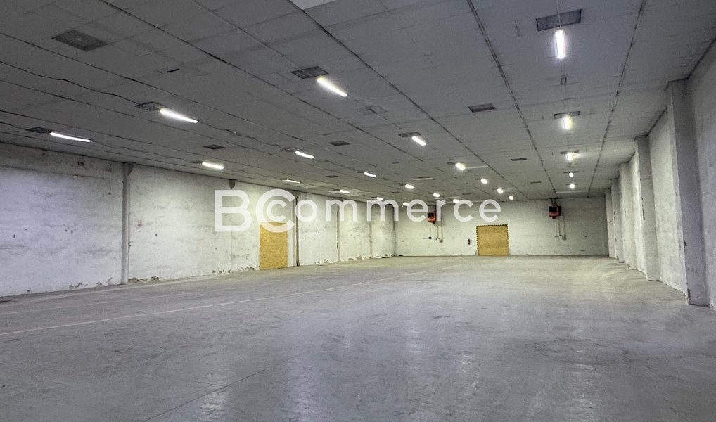 Pronájem skladovacích prostor 1 672 m², Brno – fotka 1 z 10