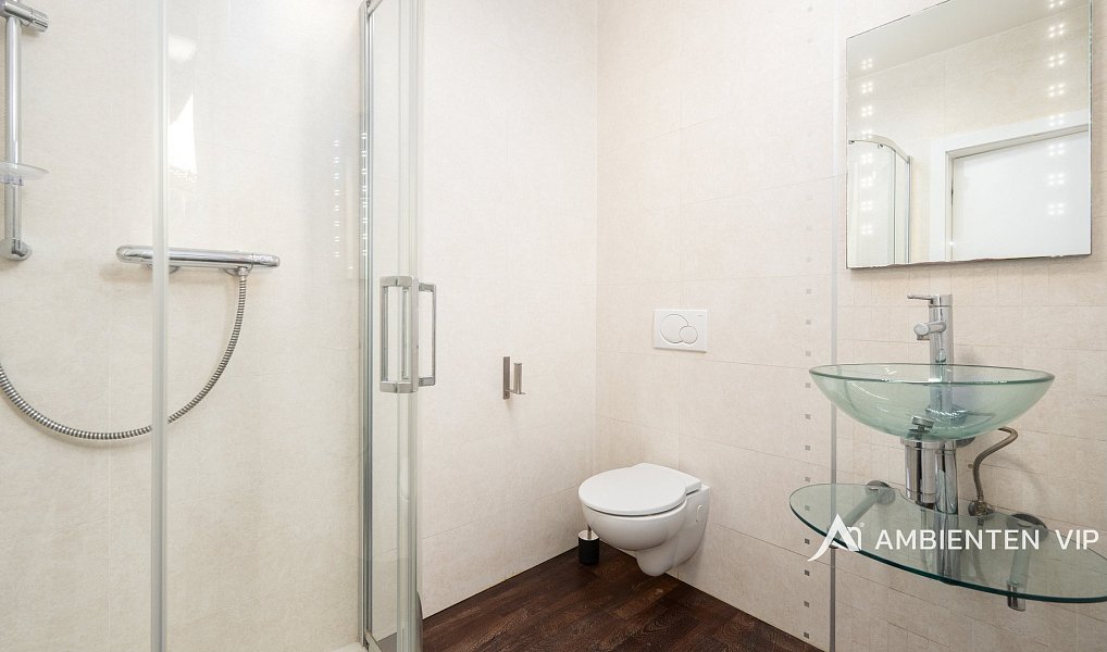 Prodej domu 382 m² s pozemkem 849 m², Moravany – náhled fotky 38