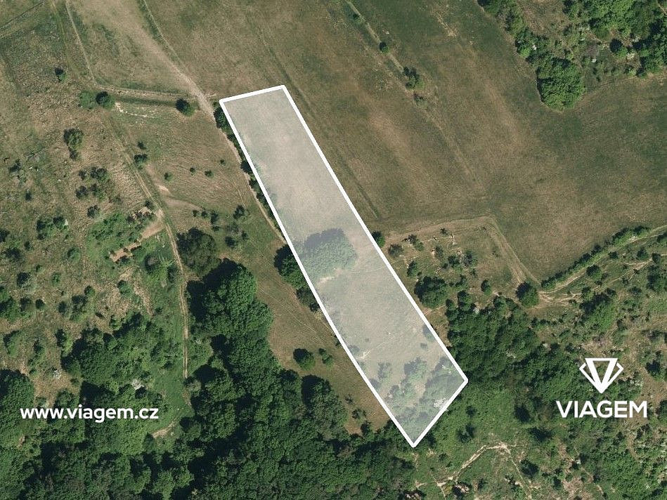 Prodej pole 1 321 m² – fotografie 2