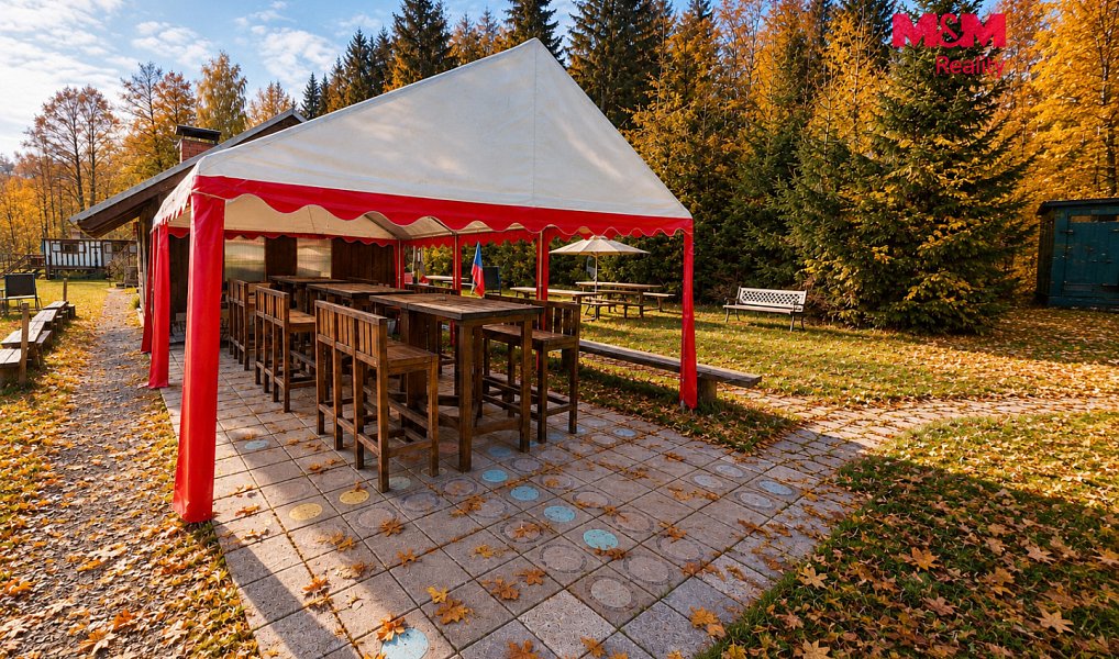 Prodej komerčního pozemku 21 872 m², Krucemburk – náhled fotky 4