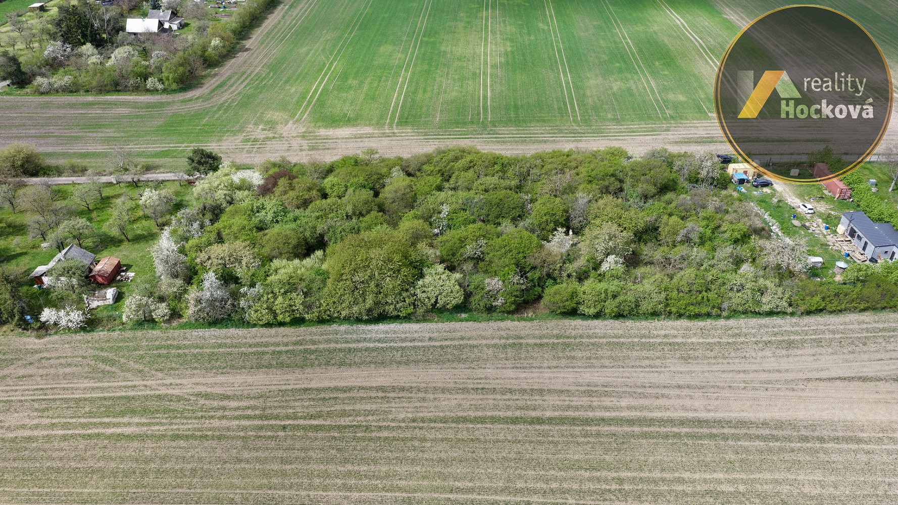 Prodej stavebního pozemku 4 447 m² – fotografie 3