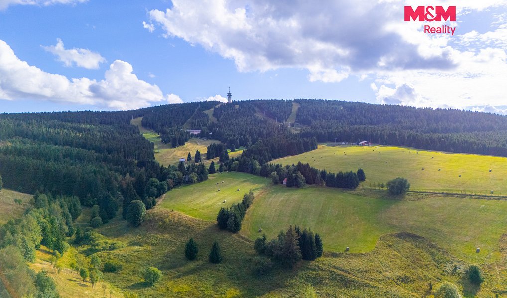 Prodej domu 270 m² s pozemkem 992 m², Loučná pod Klínovcem – náhled fotky 19