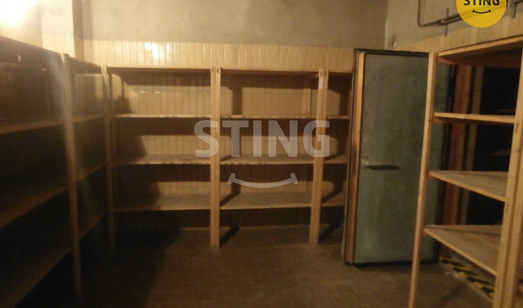 Pronájem obchodních prostor 240 m², Opava – náhled fotky 12