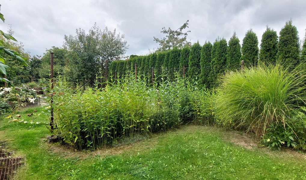 Prodej domu 140 m² s pozemkem 1 260 m², Ostrava – náhled fotky 23