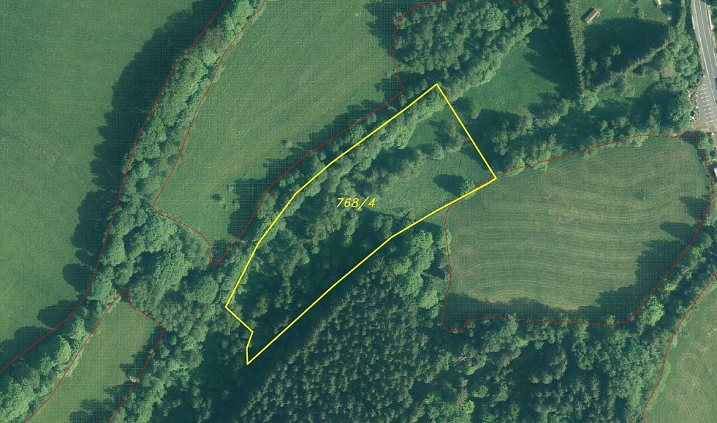 Prodej pole 10 377 m², Čachrov – náhled fotky 7