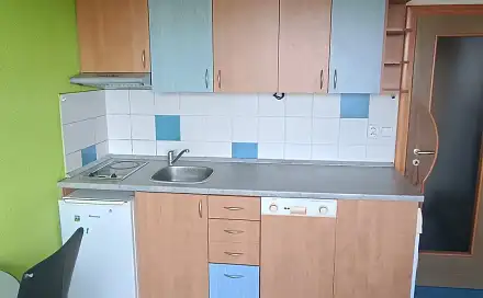 Prodej bytu 1+kk 20 m², Sousedská, Plzeň - Lobzy