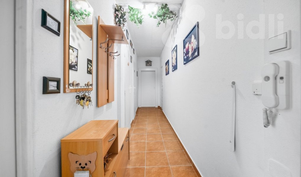 Prodej bytu 3+1 68 m², Děčín – náhled fotky 11