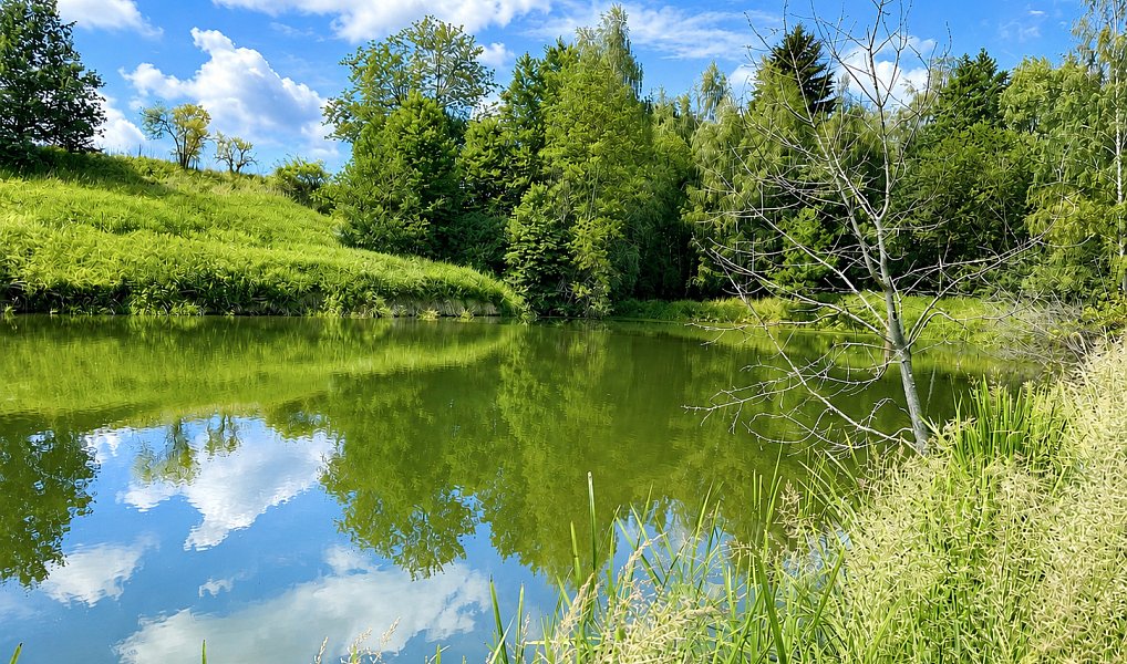 Prodej vodní plochy 25 771 m², Dačice – náhled fotky 18