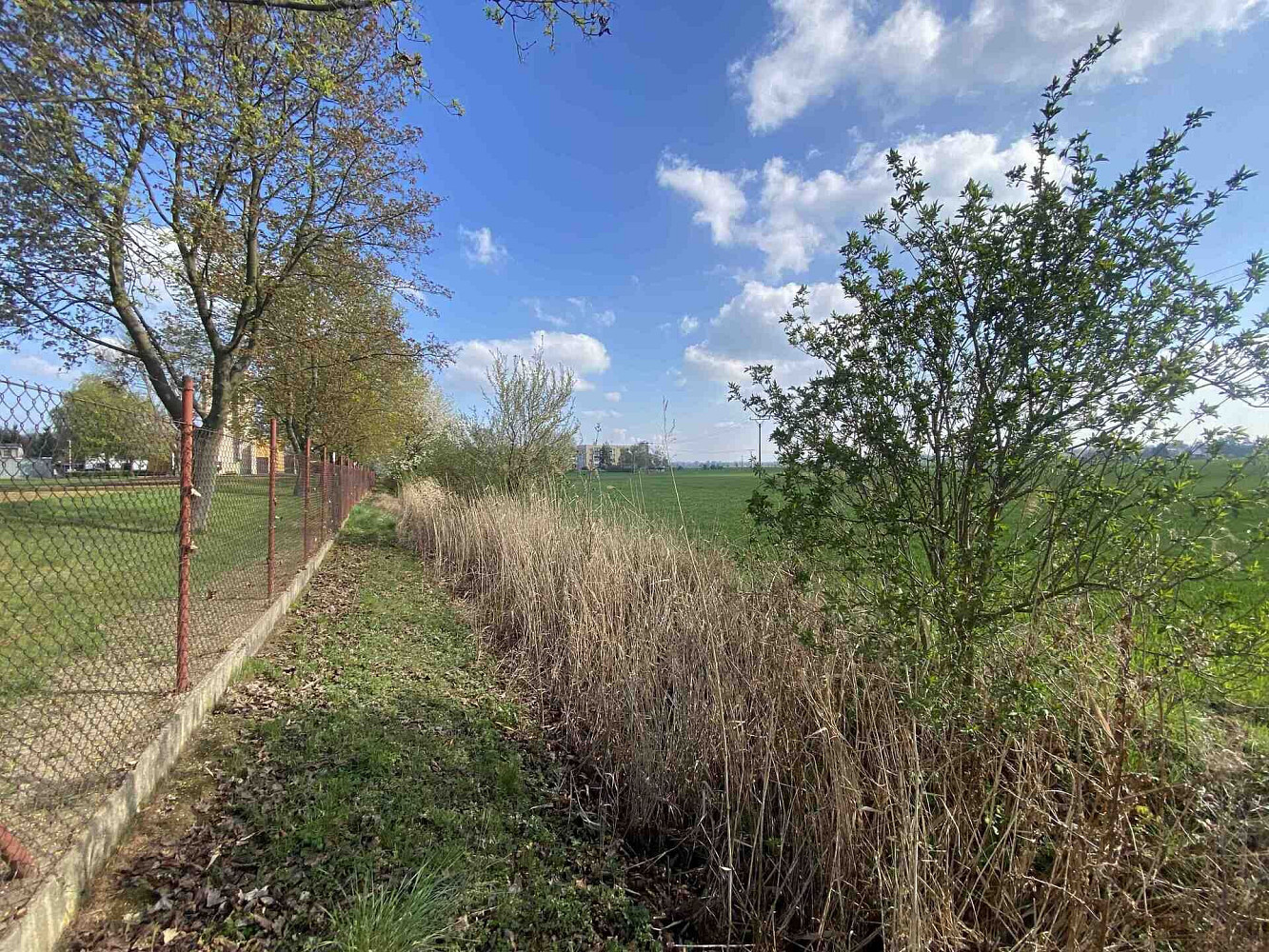 Prodej pozemku 3 560 m² – fotografie 2