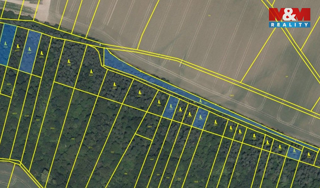 Prodej lesa 5 857 m², Kounice – náhled fotky 2