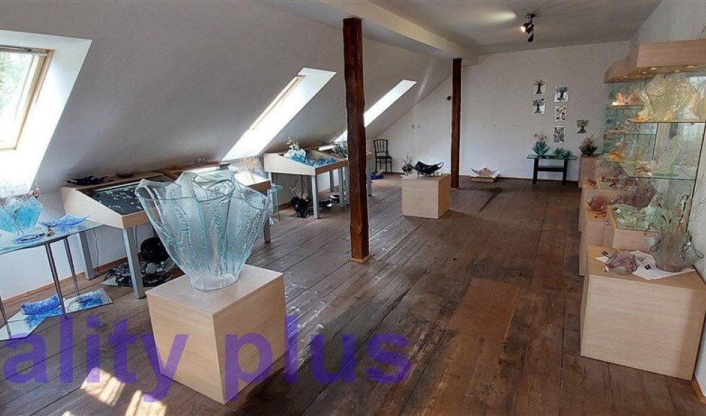 Prodej domu 250 m² s pozemkem 3 692 m², Heřmanice – náhled fotky 29