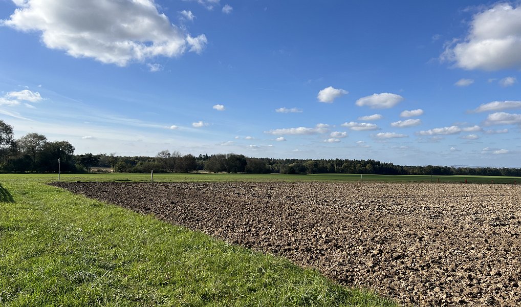 Prodej stavebního pozemku 1 434 m², Doubek – náhled fotky 7