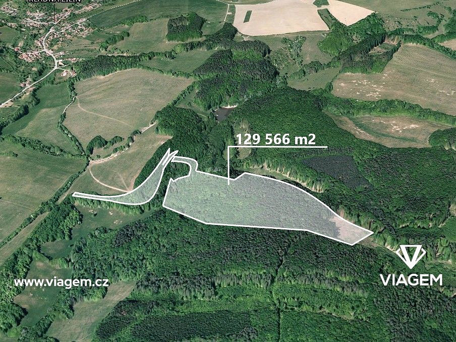 Prodej lesa 647 m²