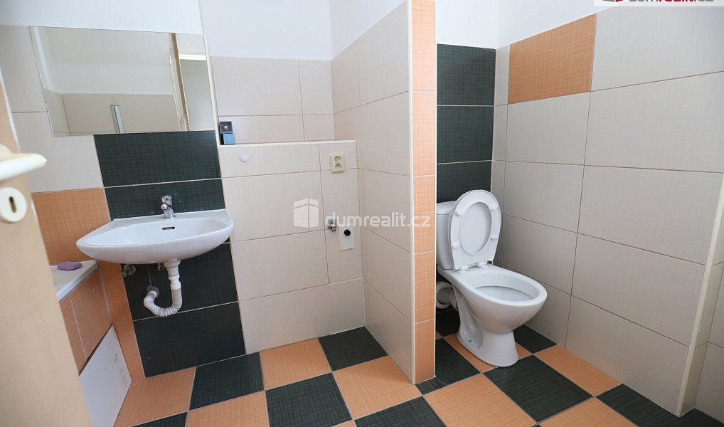Pronájem bytu 2+1 65 m², Ostrov – náhled fotky 14