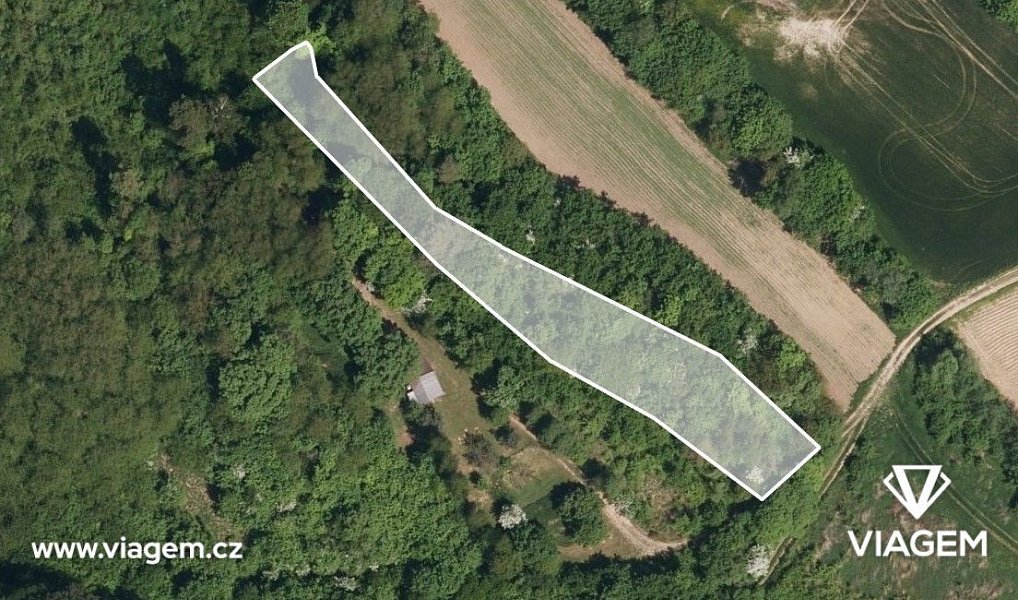 Prodej zahrady 923 m², Ždánice – náhled fotky 2