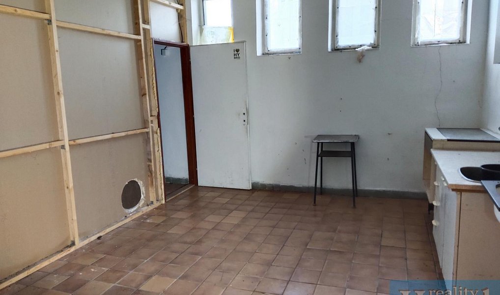 Prodej obchodních prostor 110 m², Polesí – náhled fotky 7