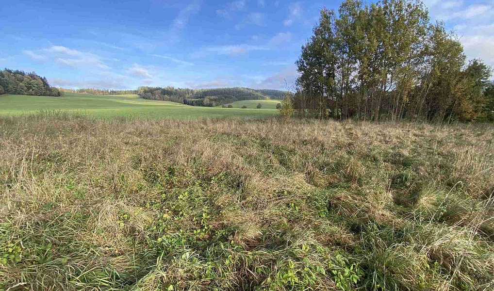 Prodej stavebního pozemku 3 207 m², Králíky – náhled fotky 2