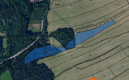 Prodej lesa 1 502 m², Proseč, okres Chrudim