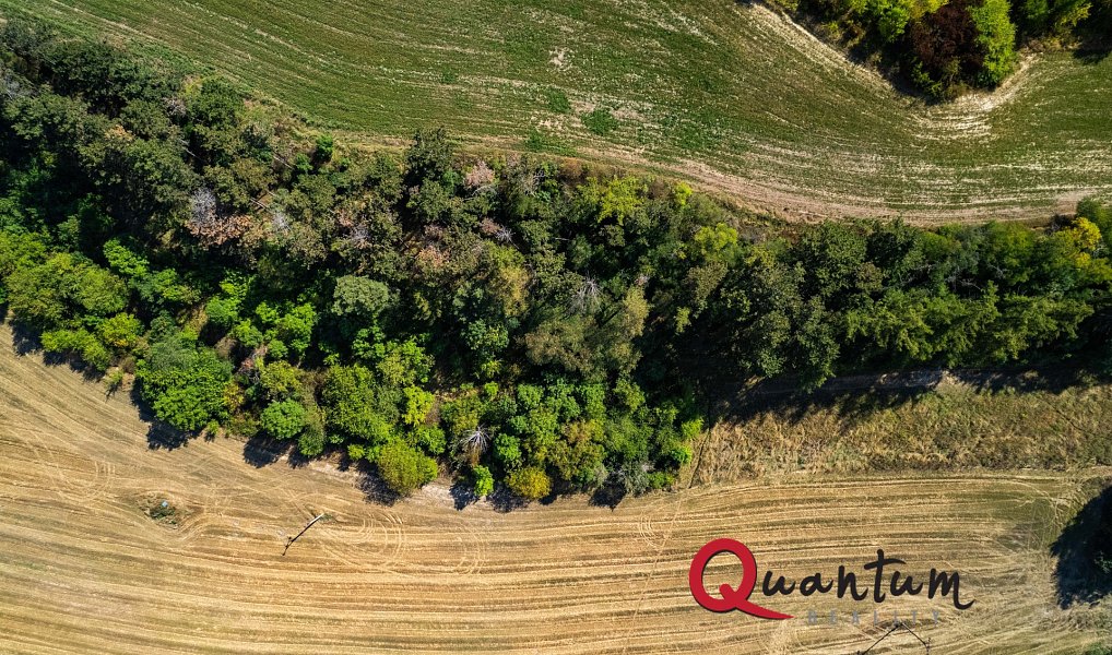 Prodej stavebního pozemku 16 339 m², Brandýsek – náhled fotky 21