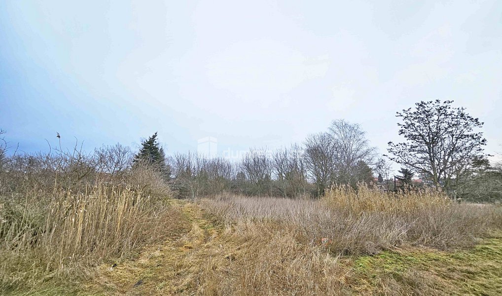 Prodej pole 1 549 m², Sulejovice – náhled fotky 6