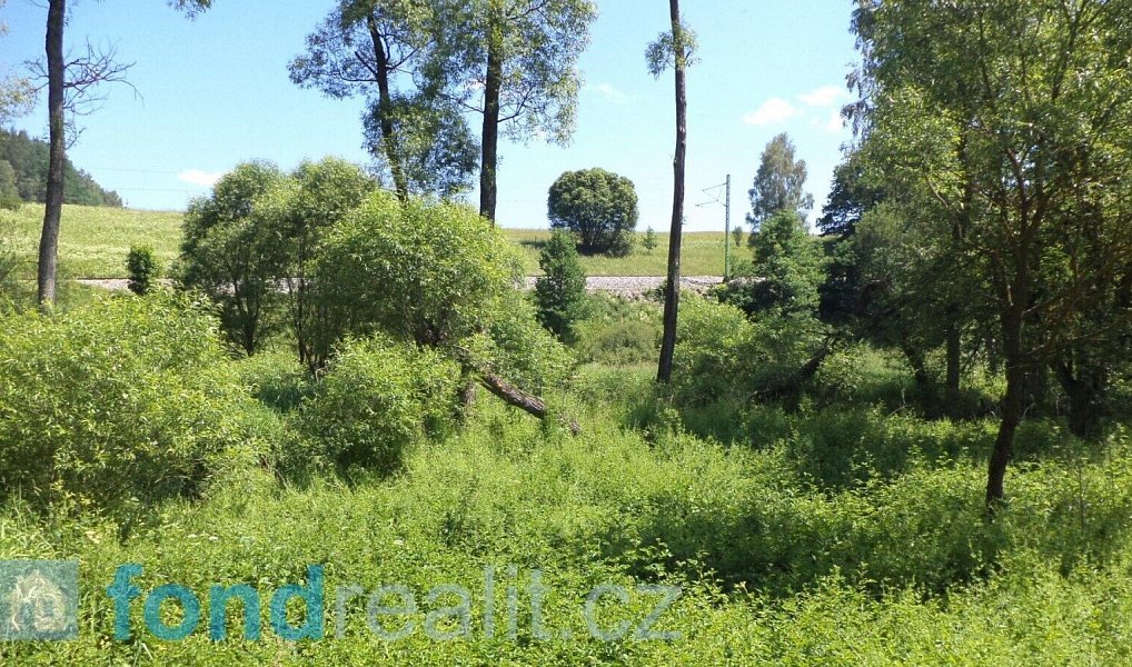 Prodej pozemku 18 903 m², Dolní Dvořiště – náhled fotky 2