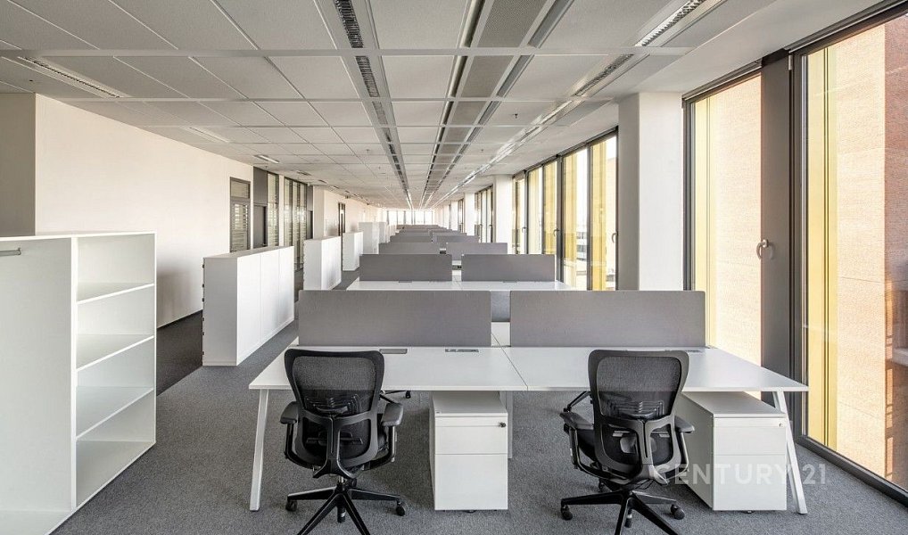 Pronájem kanceláře 929 m², Praha – náhled fotky 5