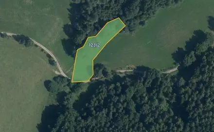 Prodej pole 22 135 m², Zborov, okres Šumperk