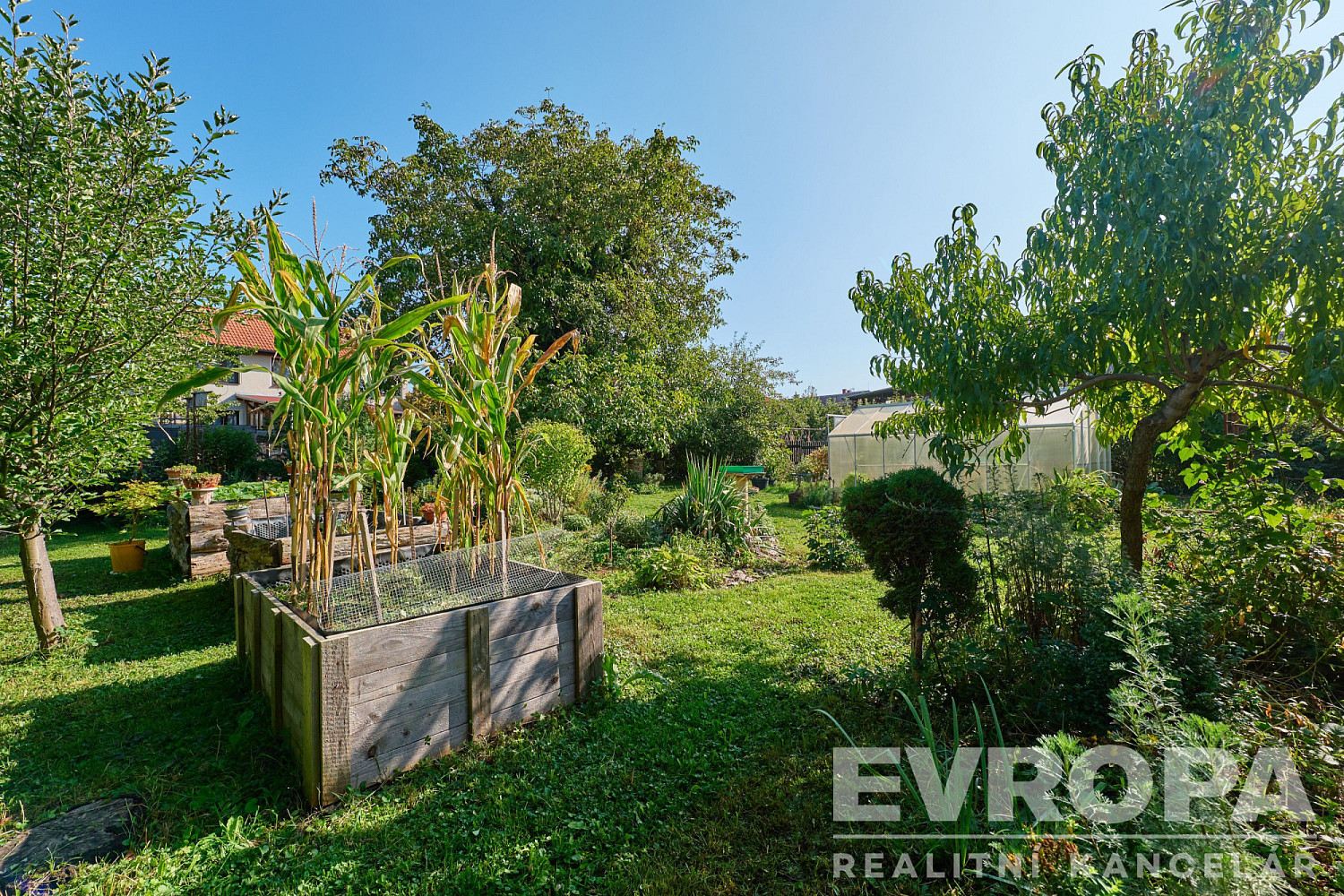 Prodej domu 150 m² s pozemkem 1 131 m² – fotografie 5