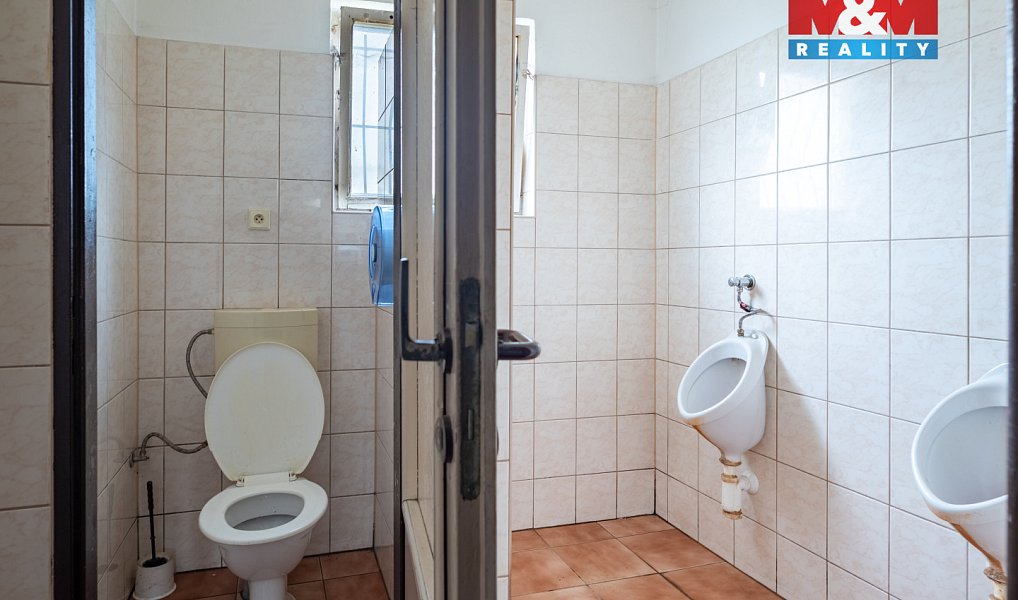 Prodej obchodních prostor 160 m², Zbytiny – náhled fotky 7