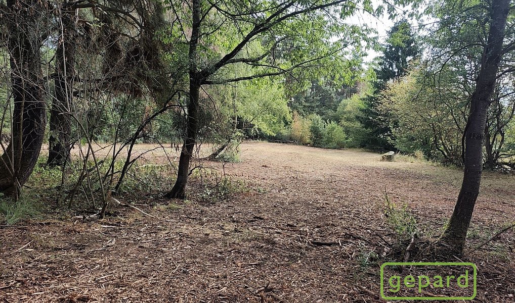 Prodej stavebního pozemku 14 307 m², Světlík – náhled fotky 7