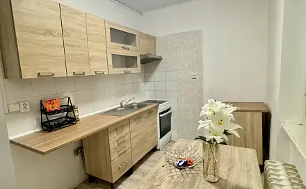 Pronájem bytu 2+1 52 m², Pionýrů, Most