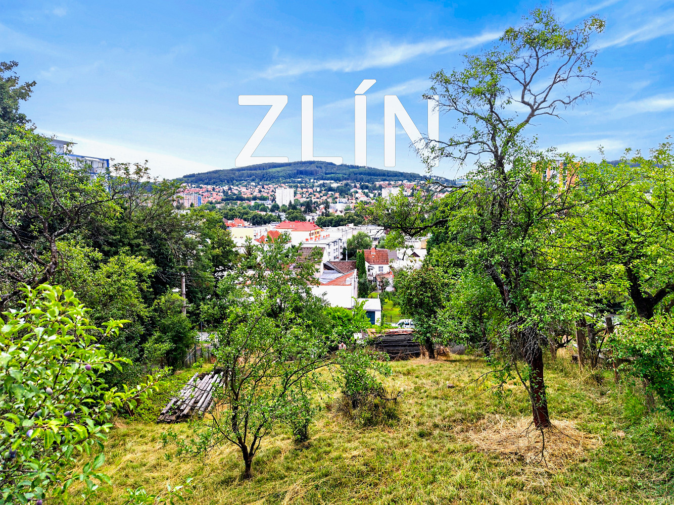 Prodej stavebního pozemku 1 013 m² – fotografie 4
