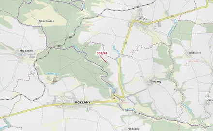 Dražba lesa 995 m², Čistá