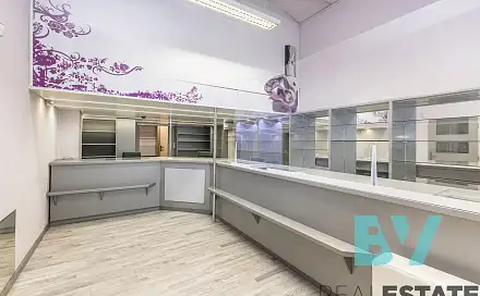 Pronájem obchodních prostor 47 m²