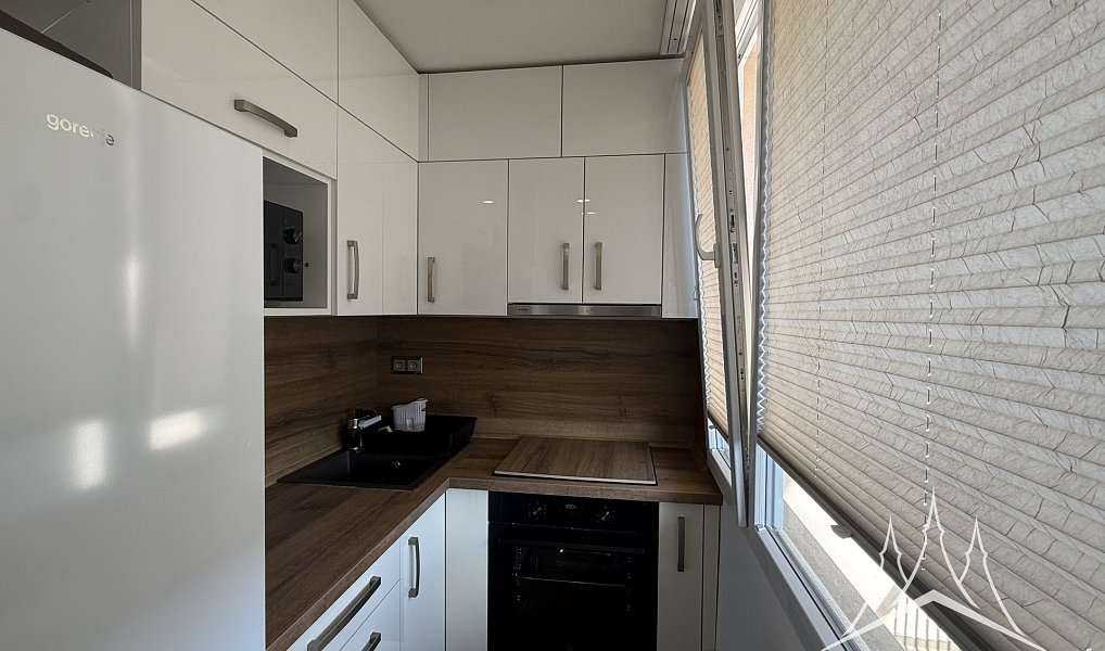 Pronájem bytu 1+kk 25 m², Zruč nad Sázavou – náhled fotky 9