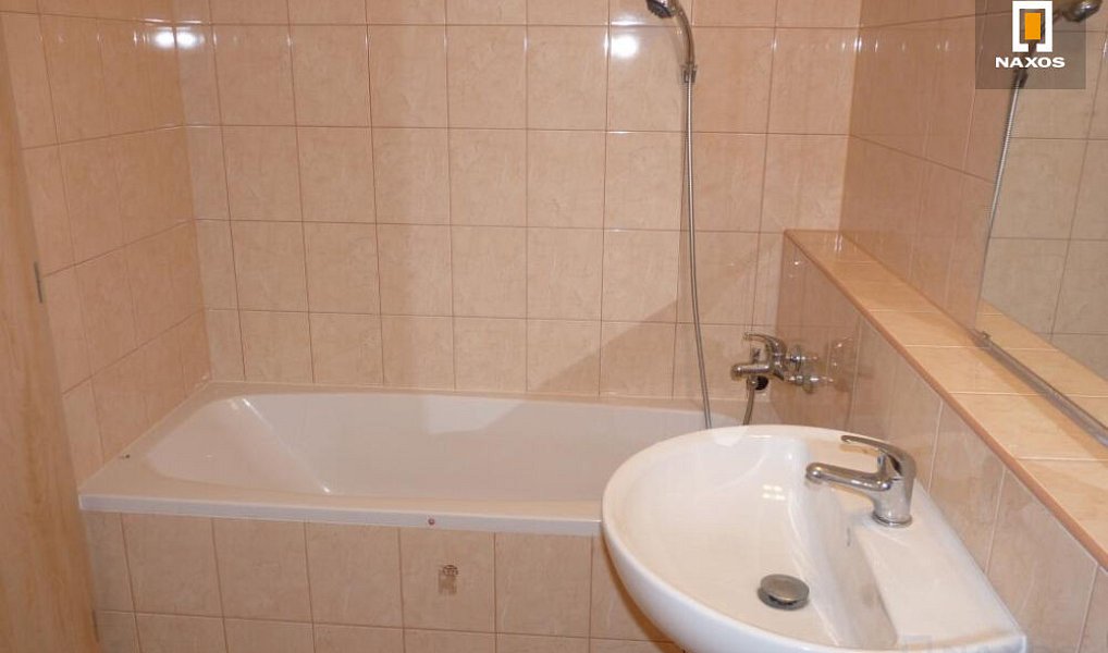 Pronájem bytu 1+1 39 m², Ostrava – náhled fotky 9