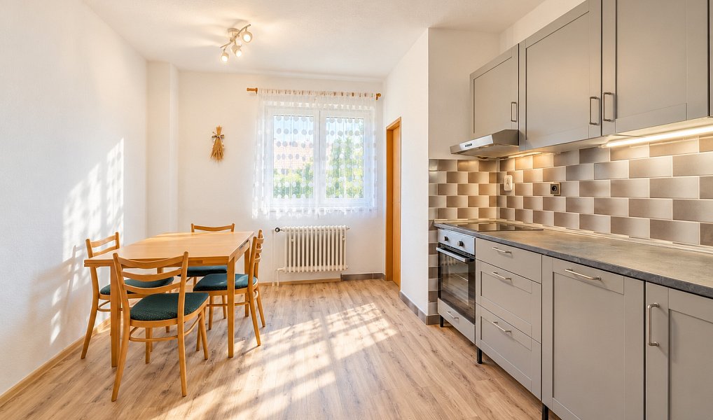 Prodej domu 300 m², Borek – náhled fotky 5
