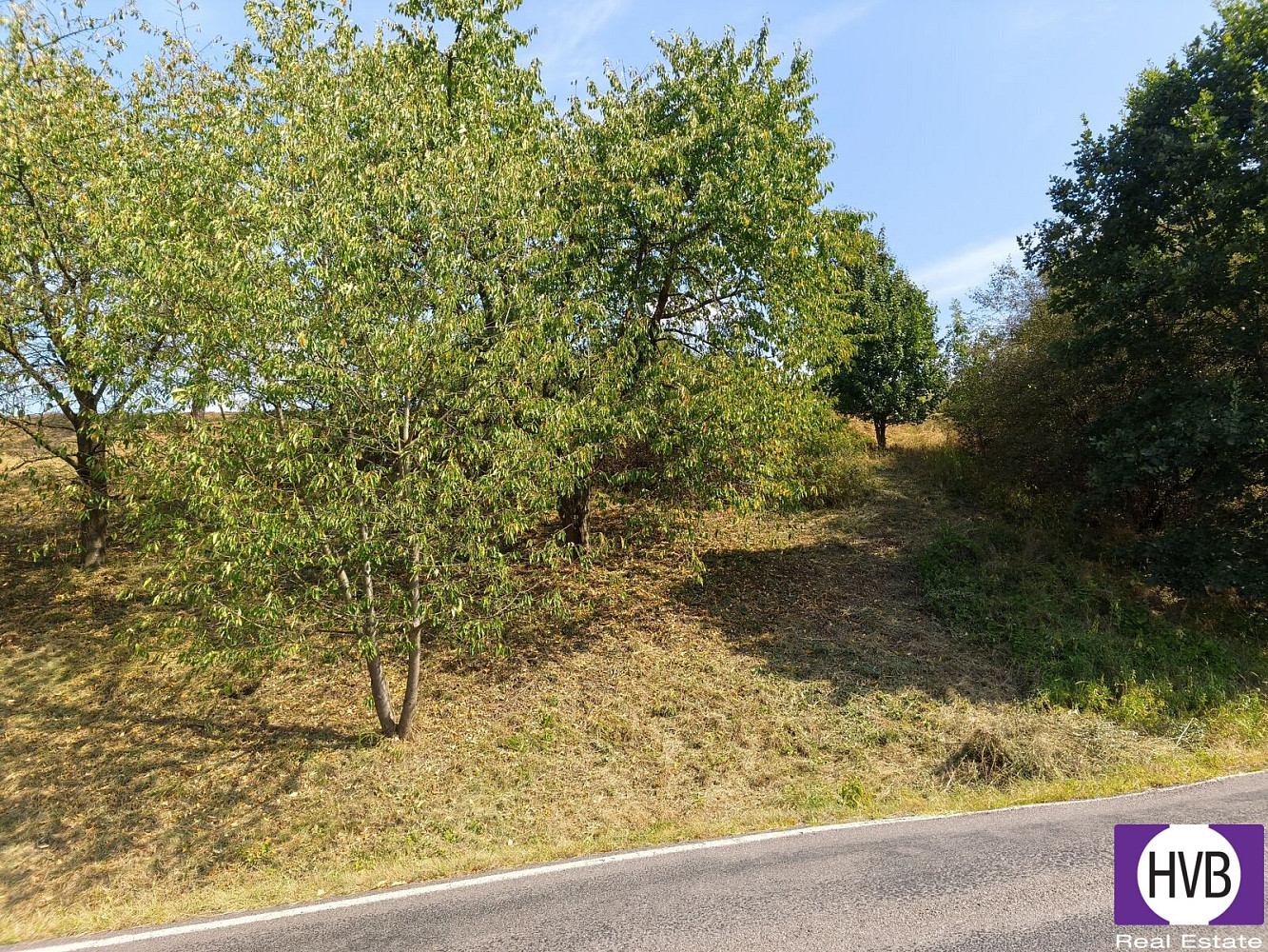Prodej pozemku 1 229 m²