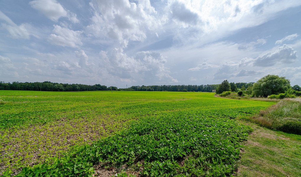 Prodej stavebního pozemku 1 430 m², Kněžmost – náhled fotky 7