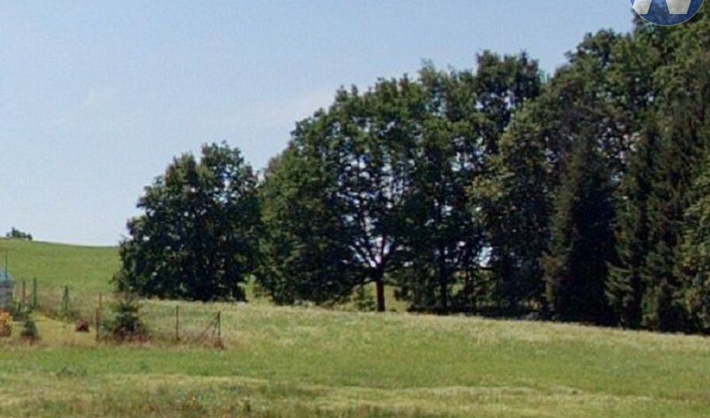 Prodej stavebního pozemku 4 398 m², Hracholusky – náhled fotky 2