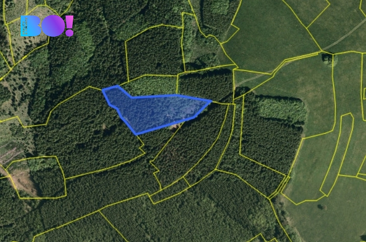 Prodej lesa 6 240 m²