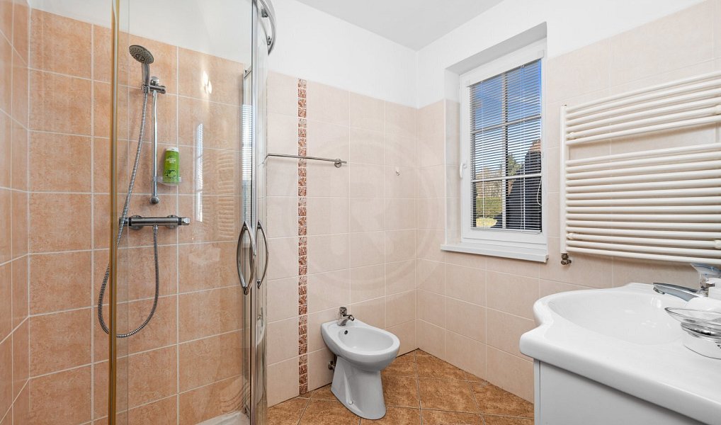 Prodej domu 230 m² s pozemkem 2 845 m², Horní Stropnice – náhled fotky 13
