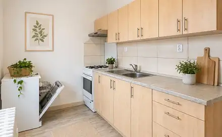 Pronájem bytu 2+1 54 m², Provaznická, Ostrava - Hrabůvka