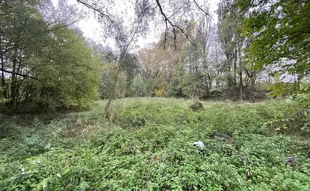 Prodej pozemku 1 049 m², Čáslavice, okres Třebíč