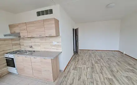 Pronájem bytu 1+1 33 m², Jana Opletala, Most